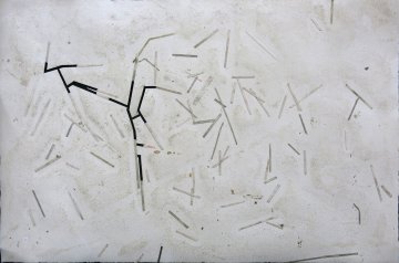 IMG_0505